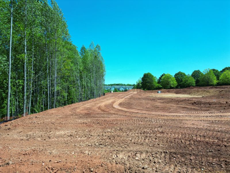 Land Clearing and Site Preparation